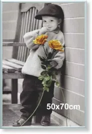 rama-aluminiowa-do-zdjecia-lub-plakatu-50x70cm-srebrny-matowy