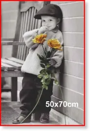 rama-aluminiowa-do-zdjecia-lub-plakatu-50x70cm-czerwona