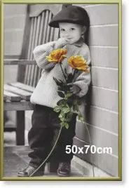 rama-aluminiowa-do-zdjecia-lub-plakatu-50x70cm-zloty-matowy