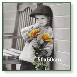 rama-aluminiowa-do-zdjecia-lub-plakatu-50x50cm-zielona