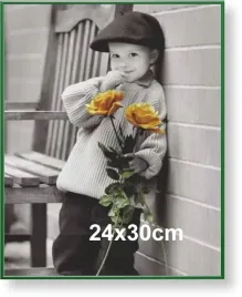 rama-aluminiowa-do-zdjecia-lub-plakatu-24x30cm-zielona