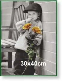 rama-aluminiowa-do-zdjecia-lub-plakatu-30x40cm-zielona