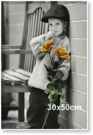 rama-aluminiowa-do-zdjecia-lub-plakatu-30x50cm-biala