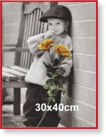 rama-aluminiowa-do-zdjecia-lub-plakatu-30x40cm-czerwona