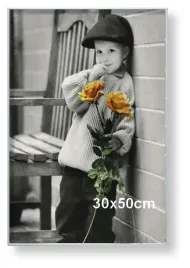 rama-aluminiowa-do-zdjecia-lub-plakatu-30x50cm-srebrny-matowy
