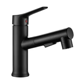 bateria-umywalkowa-z-wyciagana-wylewka-fonte-bqt-729d