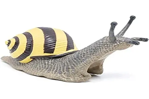 slimak-wstezyk-gajowy-plec-chlopcy-dziewczynki