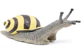slimak-wstezyk-gajowy-plec-chlopcy-dziewczynki