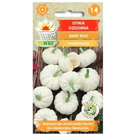 dynia-ozdobna-baby-boo-2g