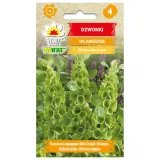 dzwonki-irlandzkie-05g