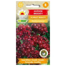 gozdzik-brodaty-scarlet-beauty-05g