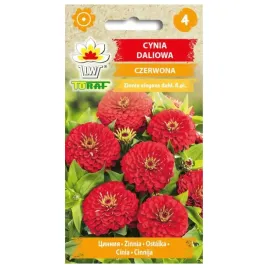 cynia-daliowa-czerwona-1g