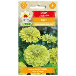 cynia-daliowa-envy-1g