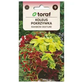 koleus-pokrzywka-rainbow-mixture-mix-02g