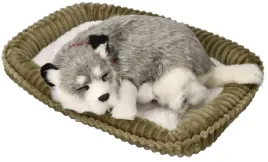 maskotka-piesek-alaskan-husky-oddychajacy