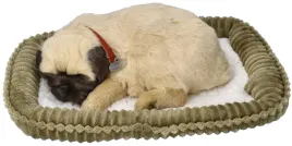 maskotka-piesek-mops-oddychajacy-spiacy