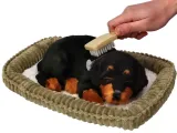 piesek-oddychajacy-rottweiler-plec-chlopcy