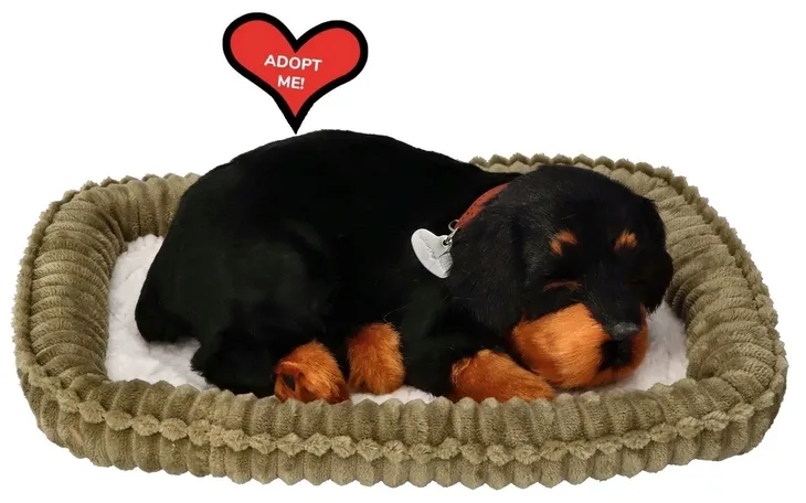 piesek-oddychajacy-rottweiler-marka-perfect-petzzz