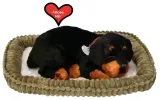 piesek-oddychajacy-rottweiler-marka-perfect-petzzz