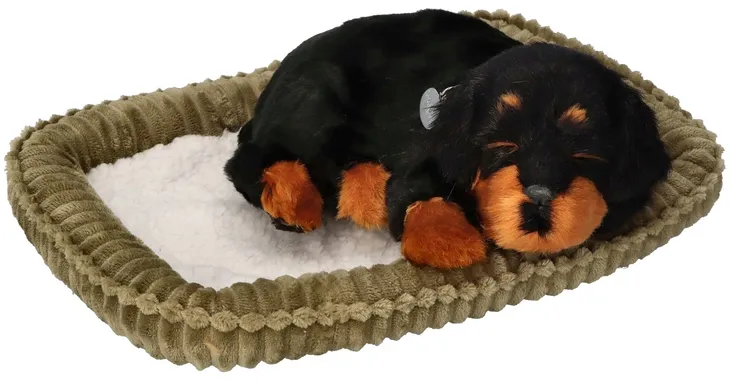 piesek-oddychajacy-rottweiler-certyfikaty-opinie-atesty-ce