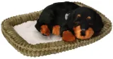 piesek-oddychajacy-rottweiler-certyfikaty-opinie-atesty-ce