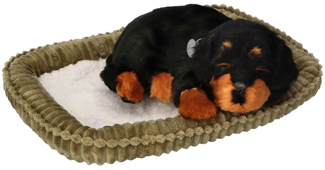 piesek-oddychajacy-rottweiler