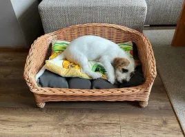 legowisko-wiklinowe-lezak-sofa-dla-psa-kota-60cm