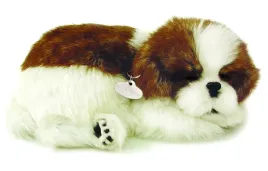 e5179-perfect-petzzz-shih-tzu-spiacy-piesek