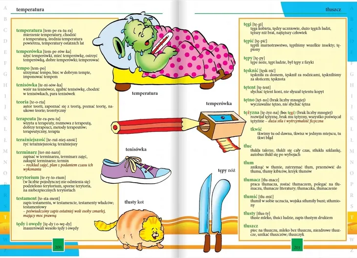 ilustrowany-slownik-ortograficzny-tw-greg-stan-opakowania-oryginalne
