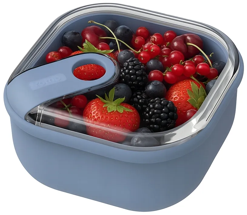 lunch-box-rotho-2000-ml