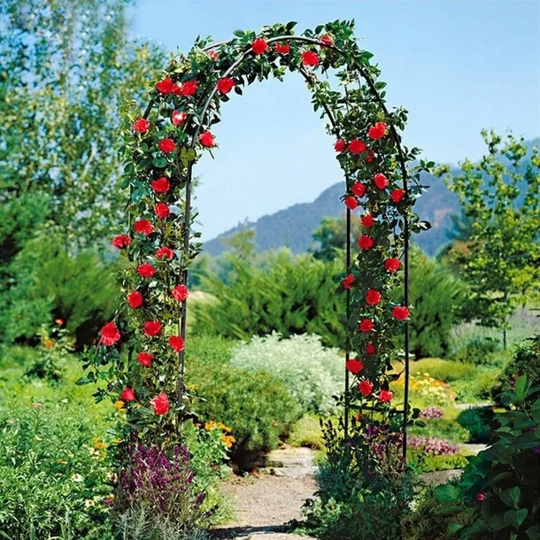 pergola-metal-vilde-luk-235-cm-rodzaj-luk