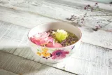 miska-villeroyandboch-0-ml-marka-villeroyandboch