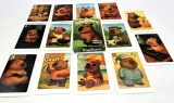 karty-do-gry-piotrus-kapibara-alexander-czas-rozgrywki-do-15-minut