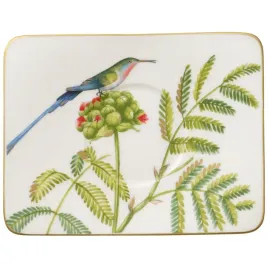 villeroyandboch-amazonia-spodek-do-kawy