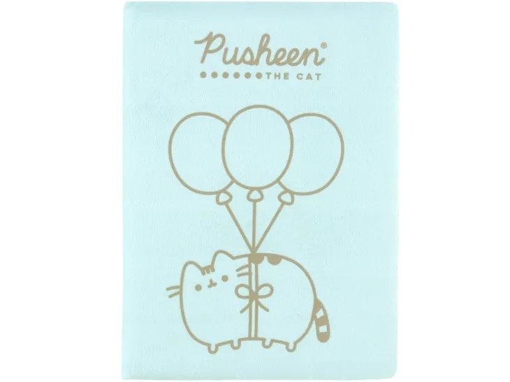 notes-pluszowy-a5-96k-linia-pusheen-majewski-rodzaj-notes