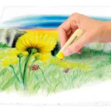 pastele-suche-12-kolorow-staedtler-s2430-liczba-sztuk-w-zestawie-12-szt