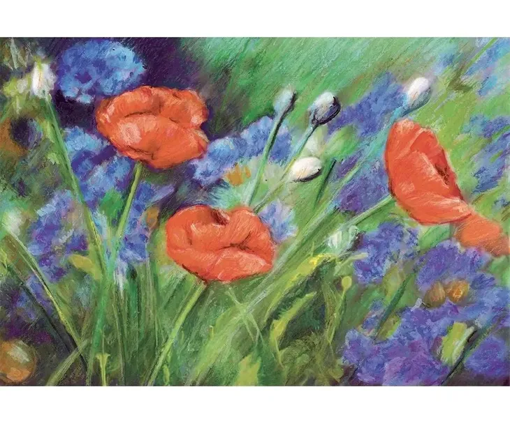 pastele-olejne-36-kolory-staedtler-s2420-plec-chlopcy