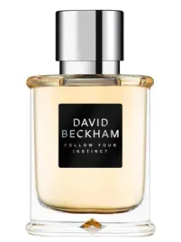 david-beckham-follow-your-instinct-edt-50-ml-tester