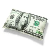 poduszka-100-usd