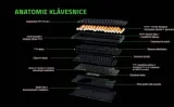 klawiatura-razer-blackwidow-v4-75-kolor-czarny