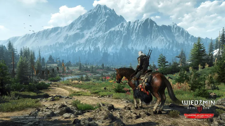 the-witcher-wild-hunt-pc-rodzaj-wydania-podstawa