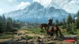 the-witcher-wild-hunt-pc-rodzaj-wydania-podstawa
