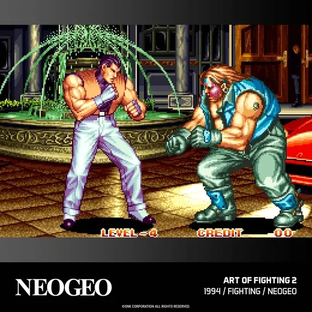 evercade-19-neogeo-arcade-2-evercade-cyfrowa-kod-taryfy-celnej-95043020