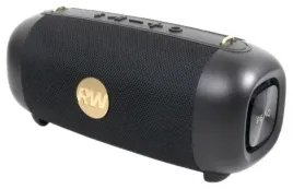 glosnik-bezprzewodowy-peaq-ppa-405-rw-robbie-williams-edition-czarny