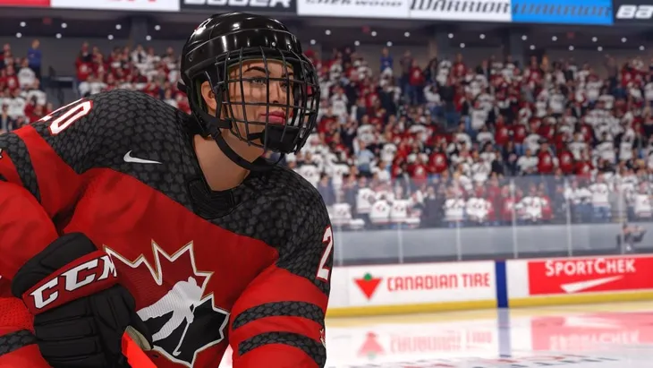 gra-ps5-nhl-23-rodzaj-wydania-podstawa