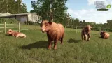 farming-simulator-25-highlands-fishing-edition-pl-pc-tryb-gry-multiplayer