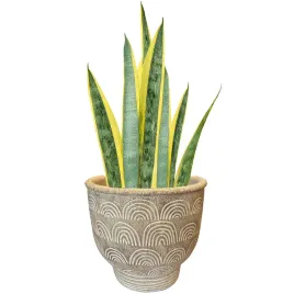 doniczka-beton-bezowy-skandi-pl-18-cm-x-18-x-16-cm