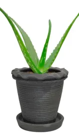 doniczka-glinka-wloknista-czarny-skandi-155-cm-x-155-x-15-cm