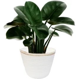 doniczka-wiklina-bialy-skandi-pl-235-cm-x-235-x-17-cm