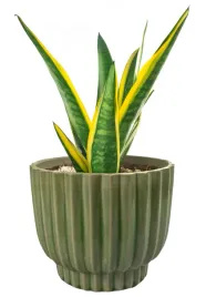 doniczka-ceramika-zielony-skandi-pl-185-cm-x-185-x-155-cm